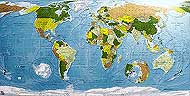 World map in Khaki to Yellow to Sage to Gold from Future Mapping Co..