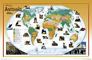 Weltkarte (Welt der Tiere) von National Geographic.
