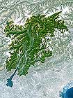 Trentino - Alto Adige Map. Please click the image to see the item sheet.